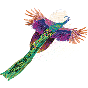  Peacock-fill
