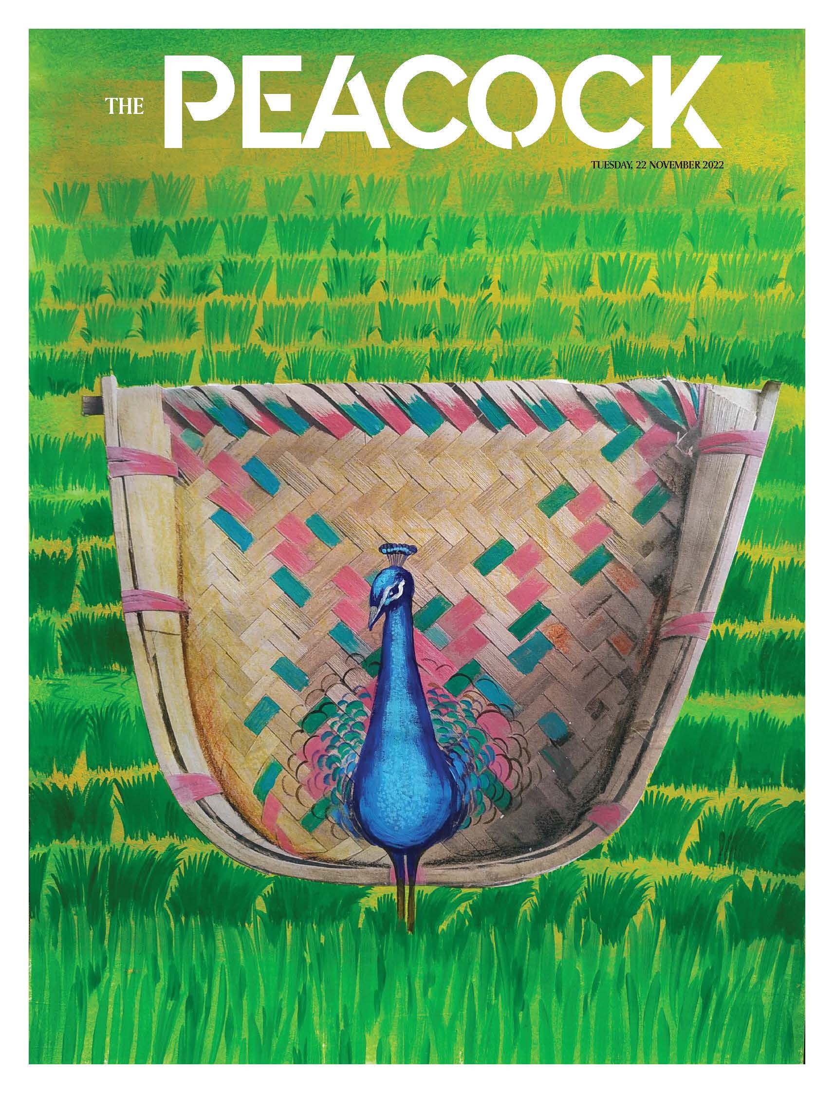 The Peacock - Issue 3 - 22-11-2022 image