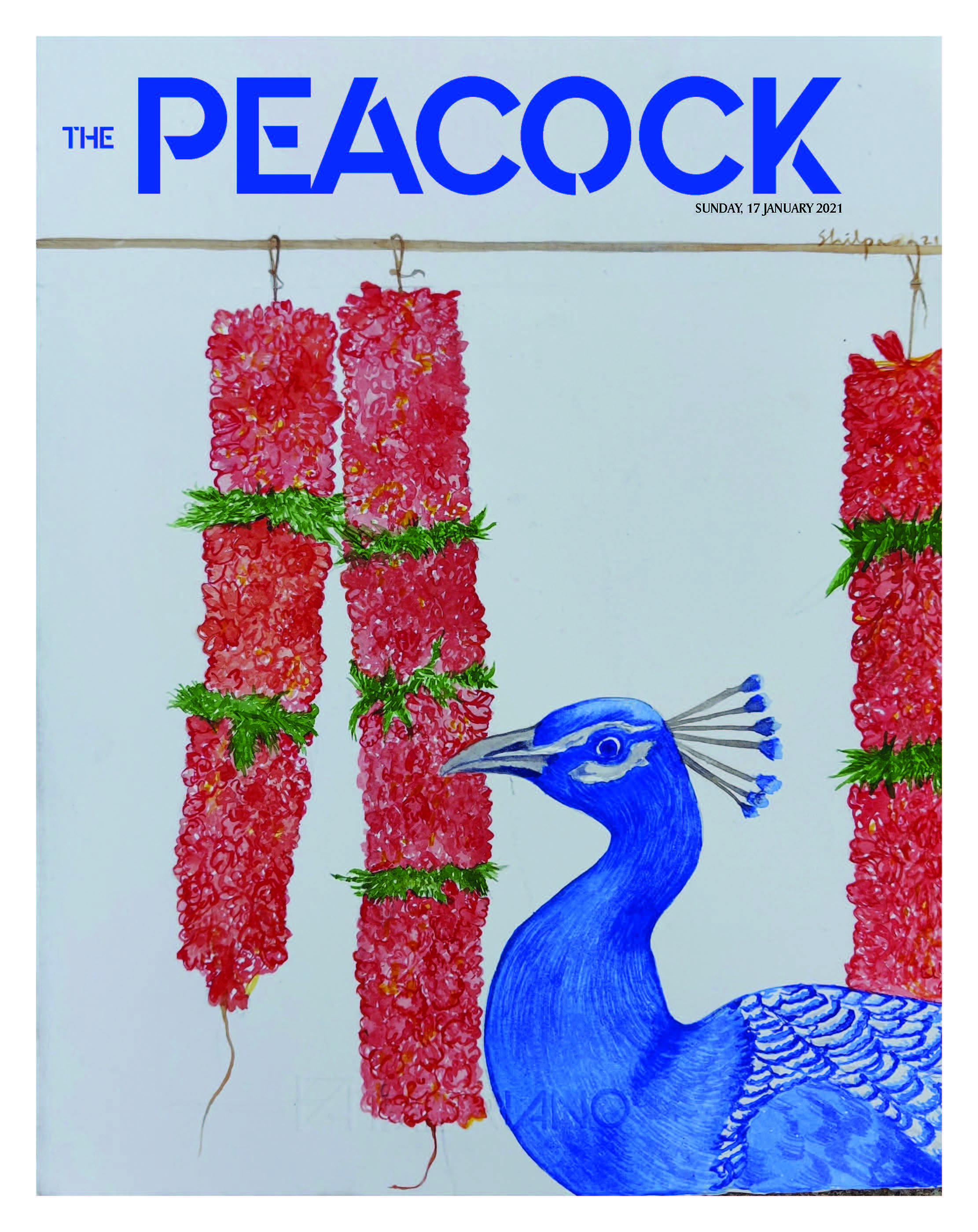 The Peacock - Issue 2 - 17-01-2021 ( jan) image