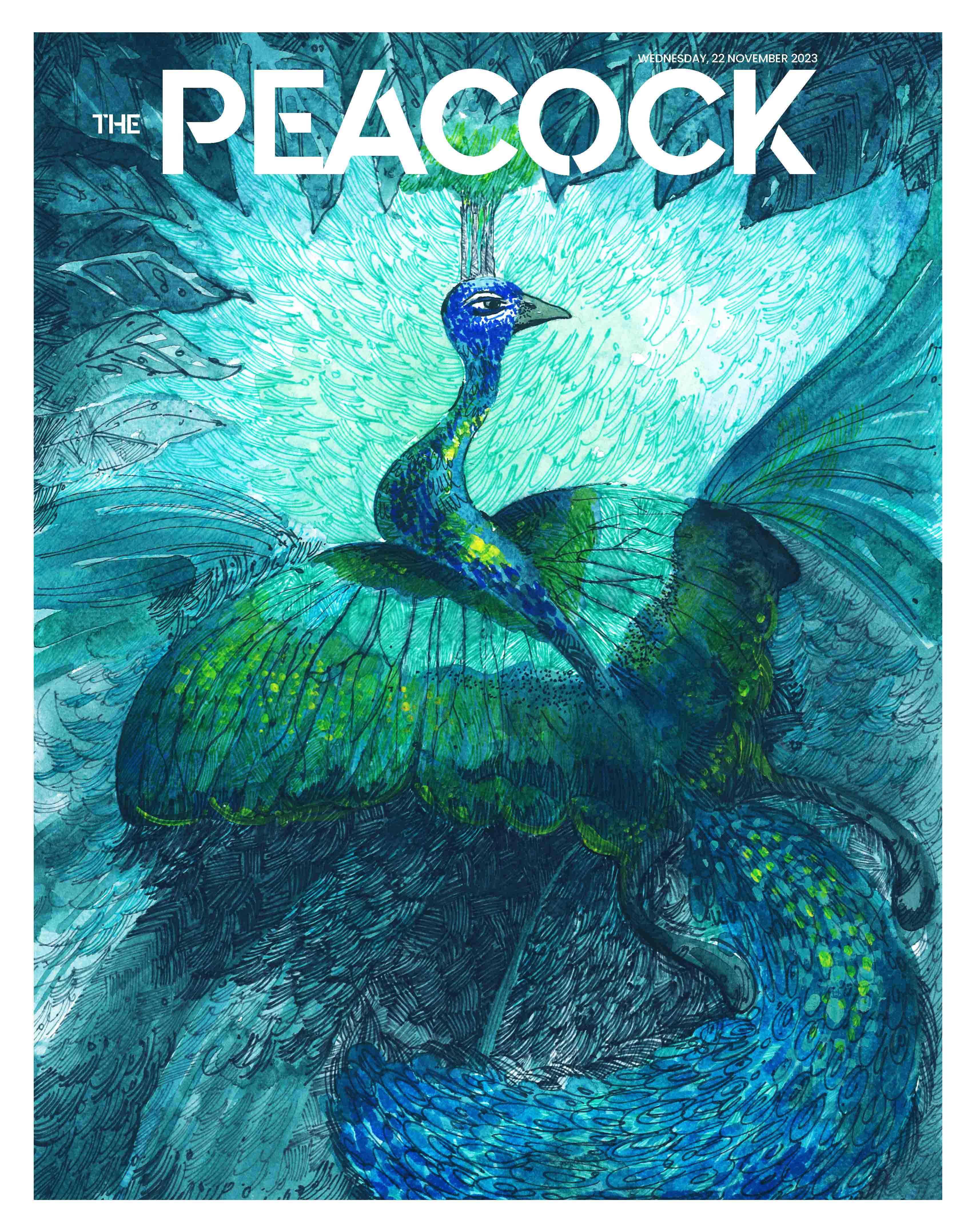The Peacock - Issue 3 - 22-11-2023 image