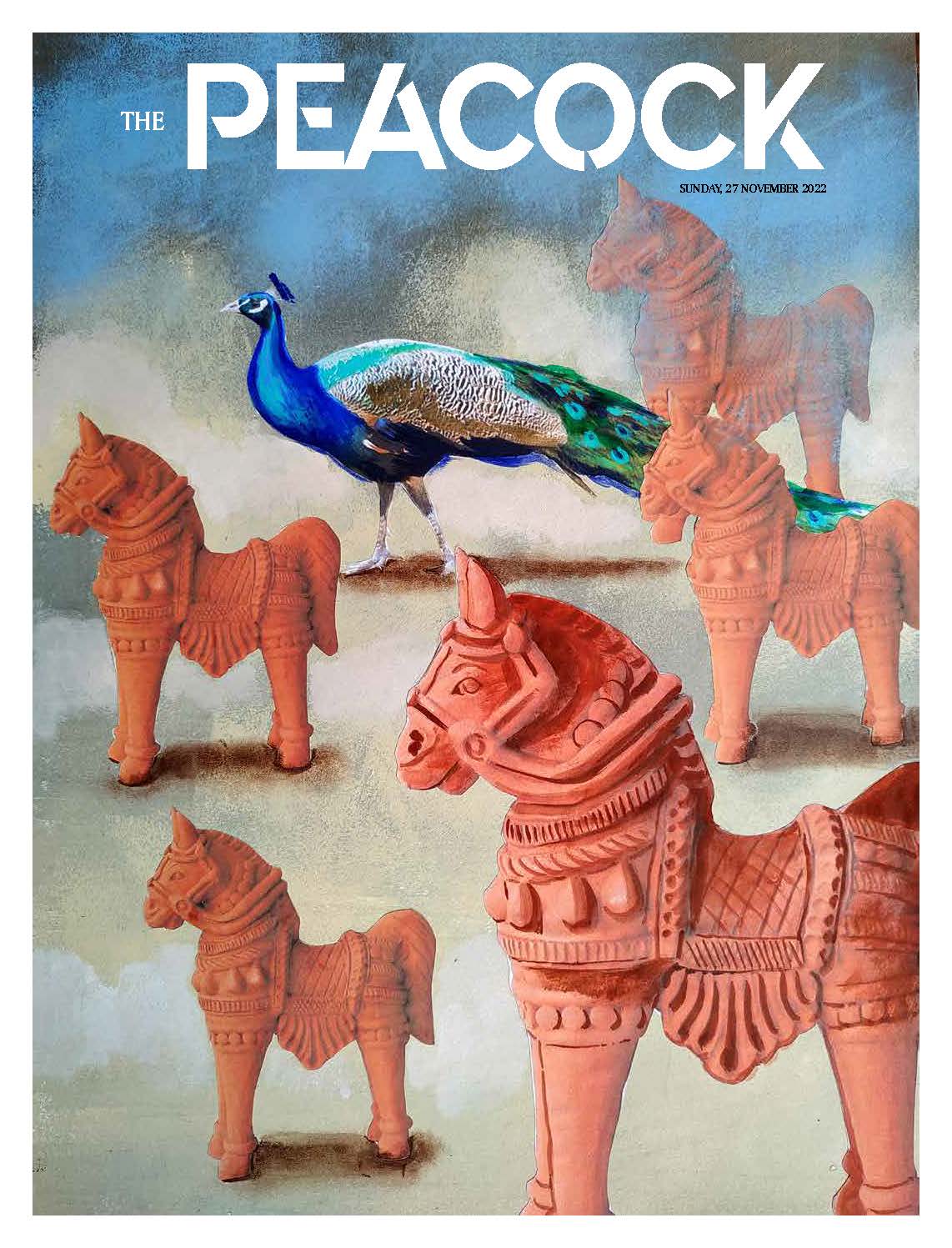 The Peacock - Issue 8 - 27-11-2022 image