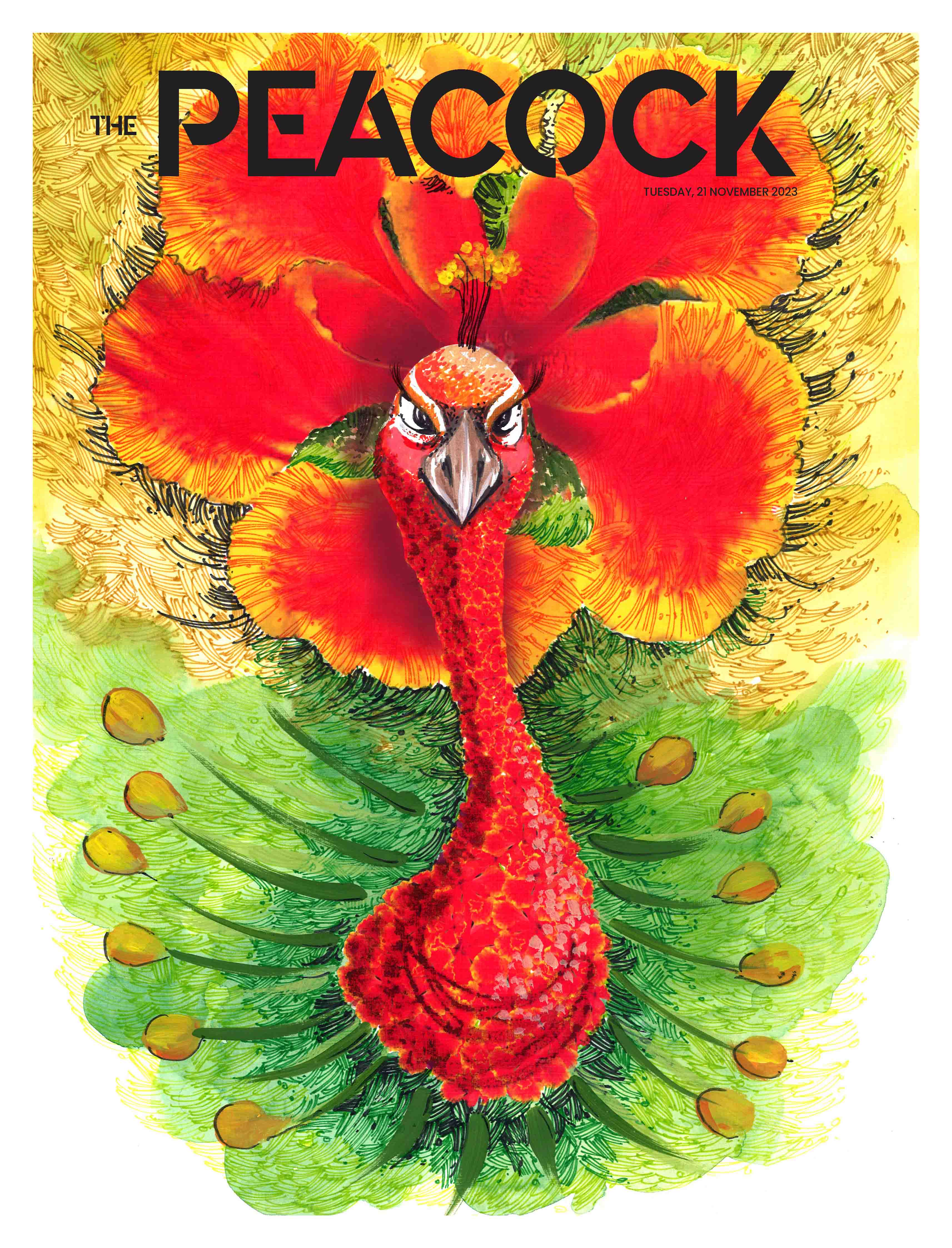 The Peacock - Issue 2 - 21-11-2023 image