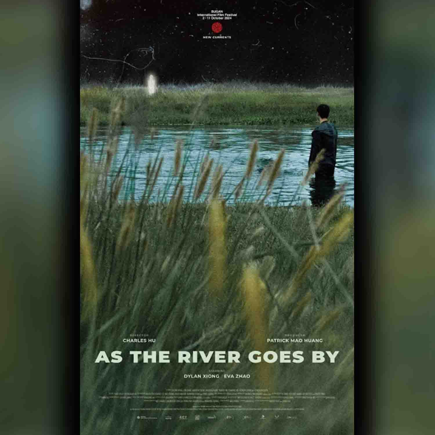 589118_1731659562.jpg