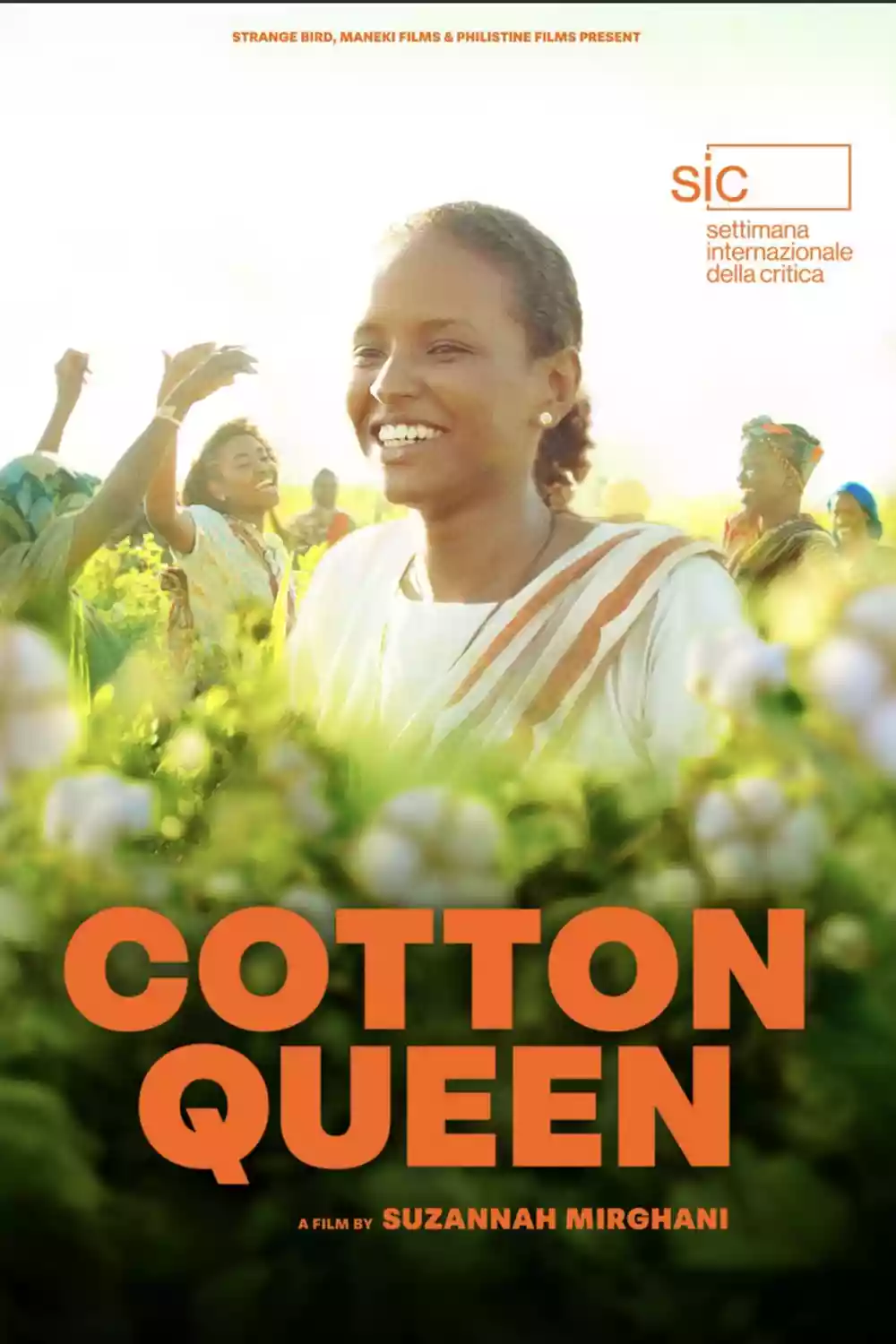 cotton-queen_1.webp