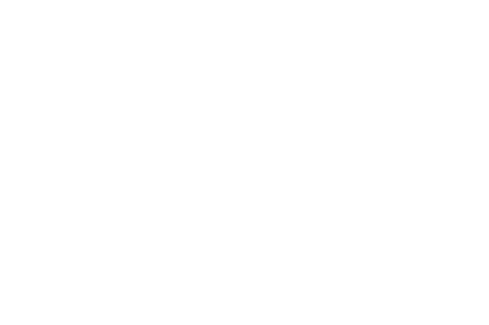 iffi-logo