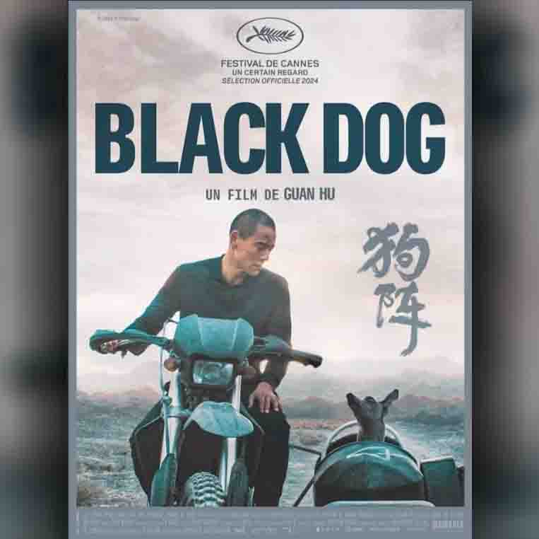 Black Dog image
