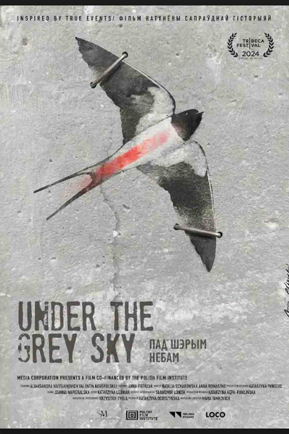Under the Grey Sky image