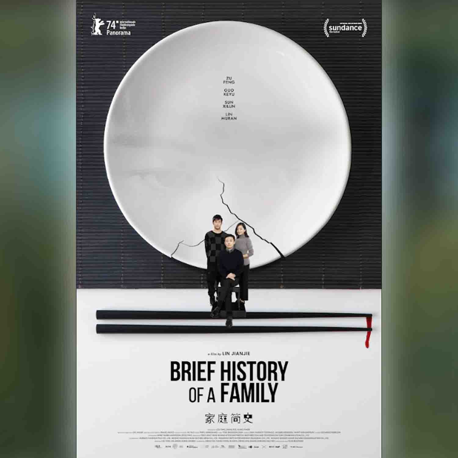 Brief History of a Family image