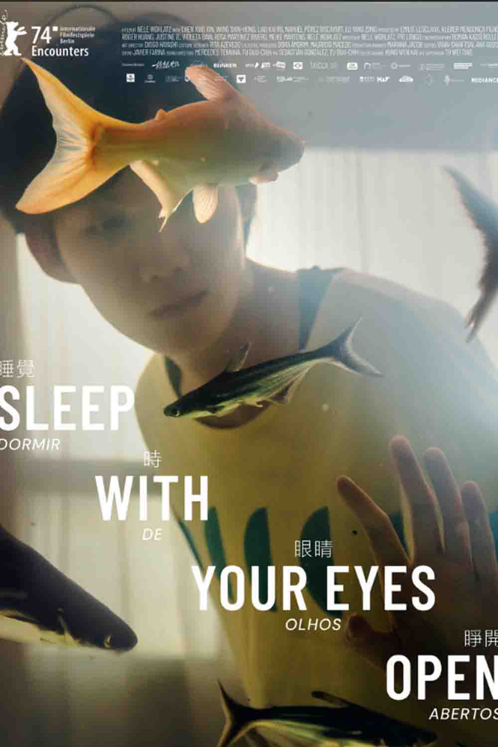 Sleep Still With Your Eyes Open image
